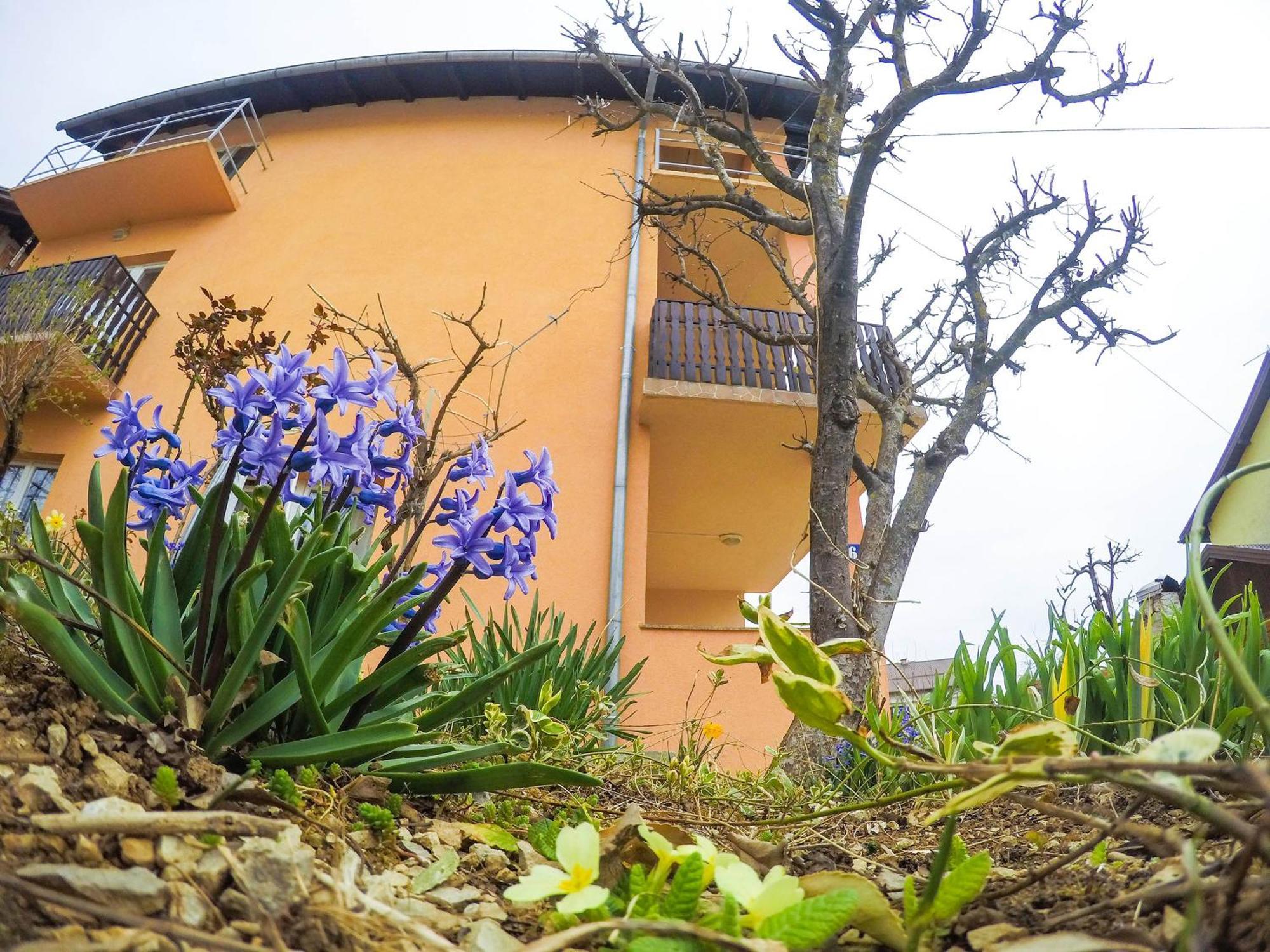 Apartment Katarina Slunj Εξωτερικό φωτογραφία